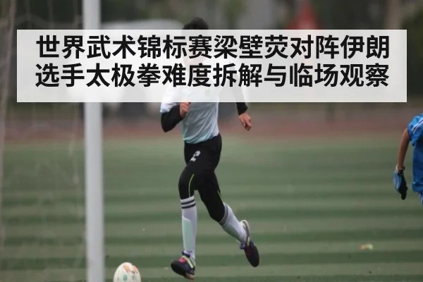 世界武术锦标赛梁壁荧对阵伊朗选手太极拳难度拆解与临场观察